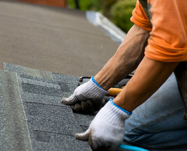 Best Roof Maintenance Services  in Kingsbury, NV